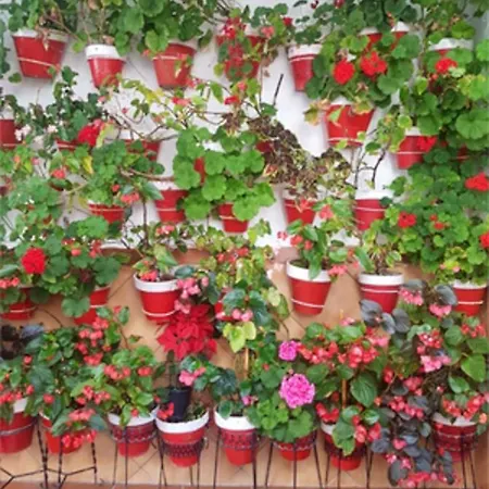 Elegant Estepona, Sea View Apartment Estepona